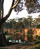 claypit reflections