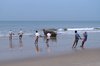Fishermen at work