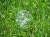 bubble