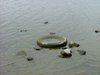 Old tire
