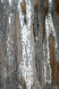 Weathered Wood