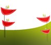 flower illustration