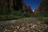 Virgin river (Zion N. Park) 2
