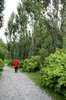 Walking in the park