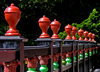 Ornamental Railing