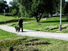 walking the dog