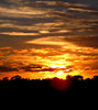 autumn sky show
