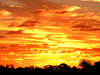 autumn sky show