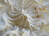 papadum creases