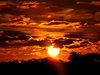 autumn sky show