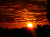 autumn sky show