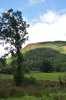 Sunshine in Wales