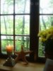 Looking out the window