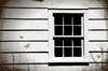 Close-up of an old window with