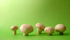 mushrooms 2