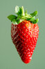 strawberry 3
