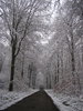 White world 1