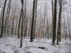 White world 3