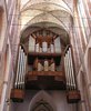 organ