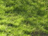 Texture 5