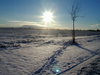 winterday