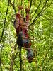 climbing