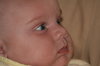 little Max