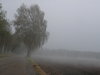 fog