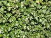 Texture25