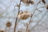 Stoney Lake - 06