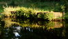 The Clyde - Forth Canal