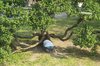 HIDE AND SEEK