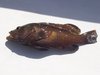 STONE BASS FISH
