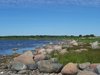 BALTIC BEACH
