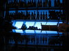 WINE BAR LIGHTS