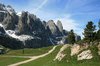 Mountain stroll 2