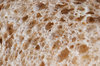 Bread texture