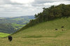 Wales