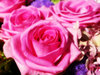 romantic bouquet