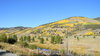 Colorado Color