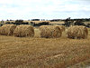 hay harvest