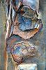 Rusty texture