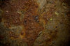 texture