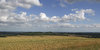 Hampshire landscape