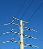 power lines