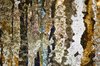 Grunge background