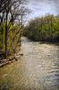Root River