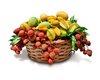 Tropical Fruits