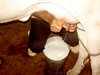 Milking a cow