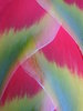 Tropical Flower